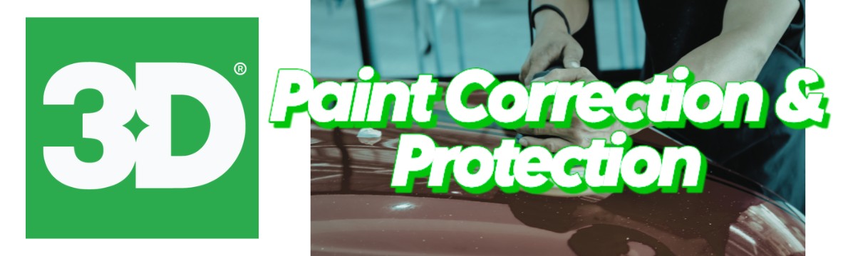 3D Paint Correction and Protection