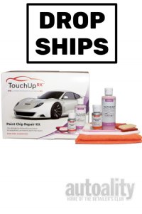 TouchUp RX 1-Color Paint Chip Repair System